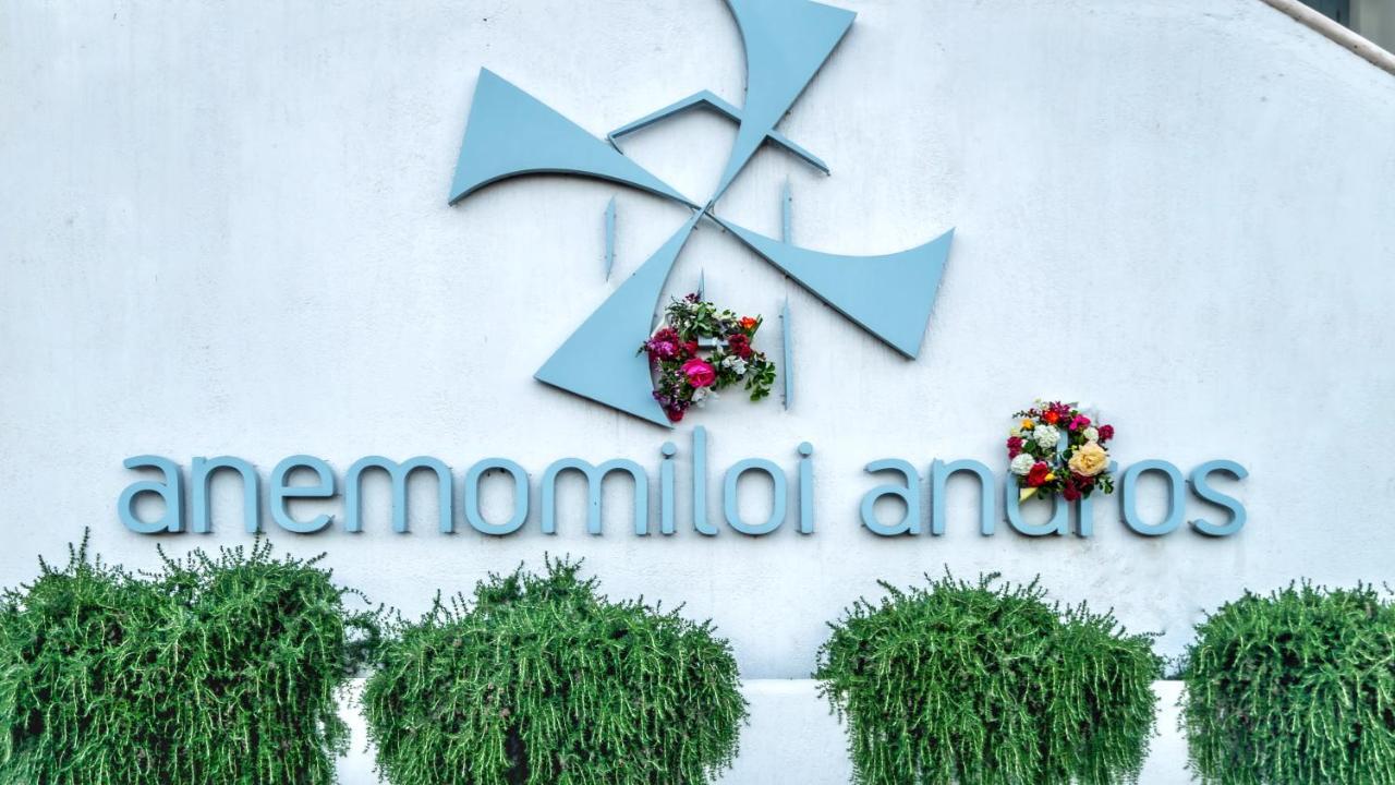 Anemomiloi Andros酒店 外观 照片